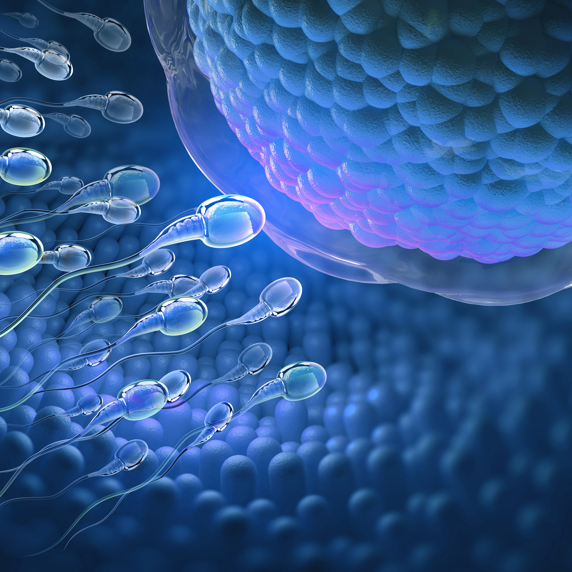inseminazione-intrauterina-2000×2000